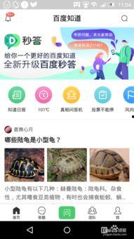 九一网页版免费在线电脑网页版